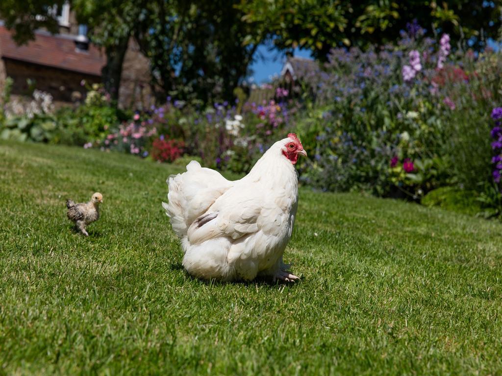 The Graig Bed & Breakfast Ludlow Farden Luaran gambar