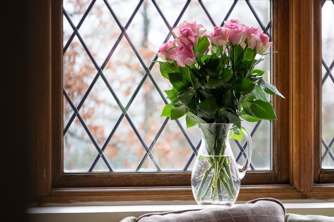 The Graig Bed & Breakfast Ludlow Farden Luaran gambar
