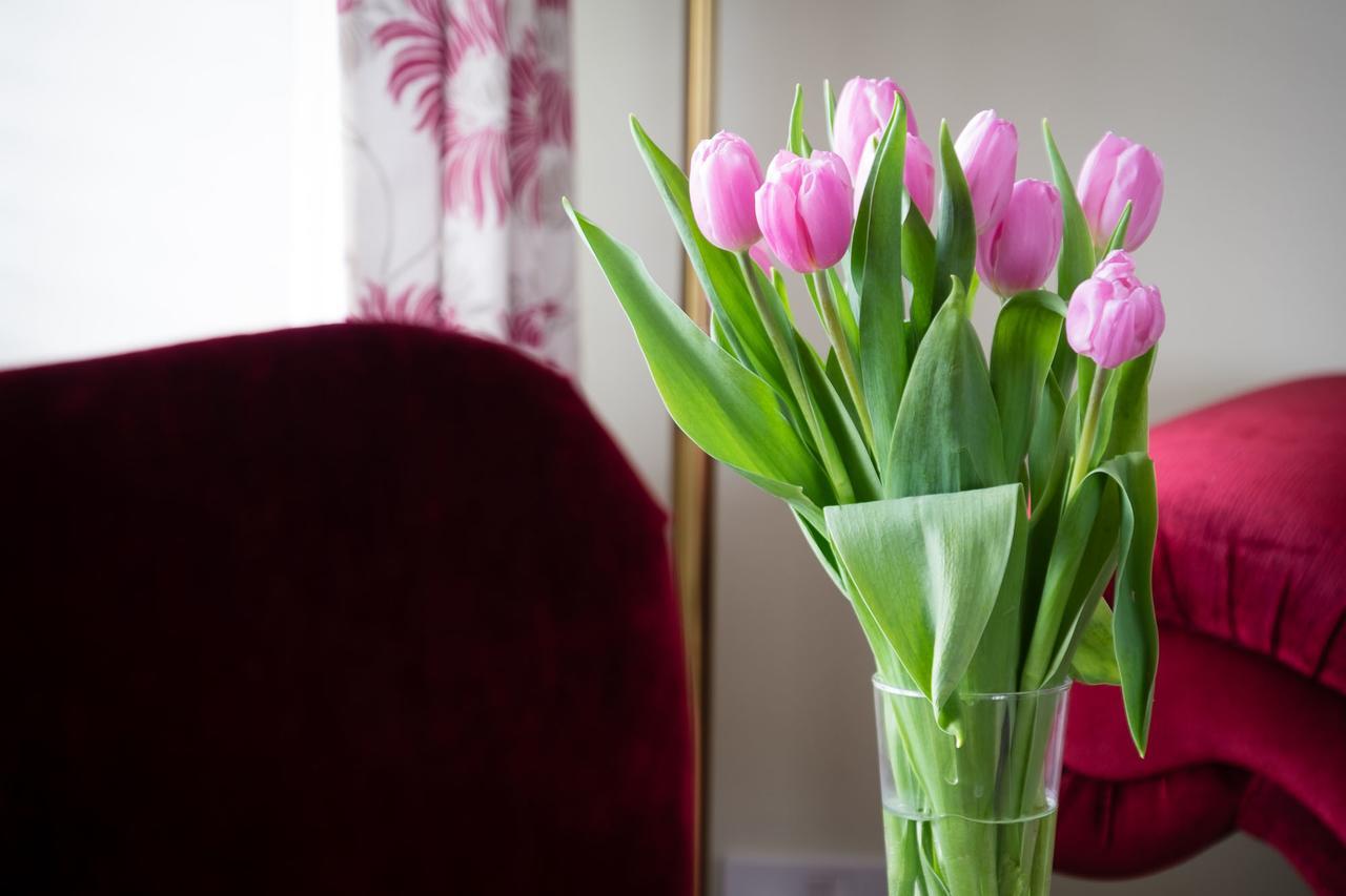 The Graig Bed & Breakfast Ludlow Farden Luaran gambar